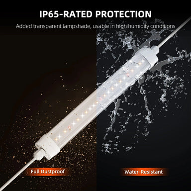 Spider Farmer Glow30 i65 rates protection