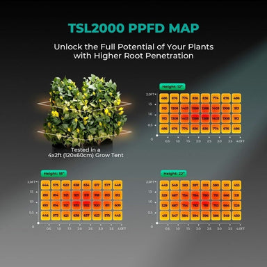 Mars Hydro TSL 2000 LED Grow Light 300W ppfd map.