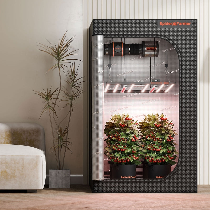 Spider Farmer GlowR40 Spider Farmer indoor gardening system with plants on a wooden floor.