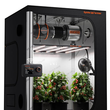 Spider Farmer 5'x5' Smart Grow Tent Kit – SE7000 EVO 730W LED Spider Farmer indoor grow tent with plants inside on a white background