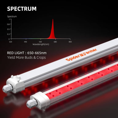 Spider Farmer GlowR80 Red light emitting diode (LED) tubes with Spider Farmer branding on a dark background, featuring a graph of red light spectrum.