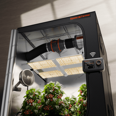 Spider Farmer 5'x5' Grow Tent Kit – SF7000 Full Spectrum LED Spider Farmer indoor gardening system with plants inside