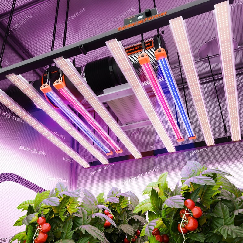 Spider Farmer UV30 & IR16 LED Grow Light Bars Set Grow lights with plants under them in a controlled environment setting