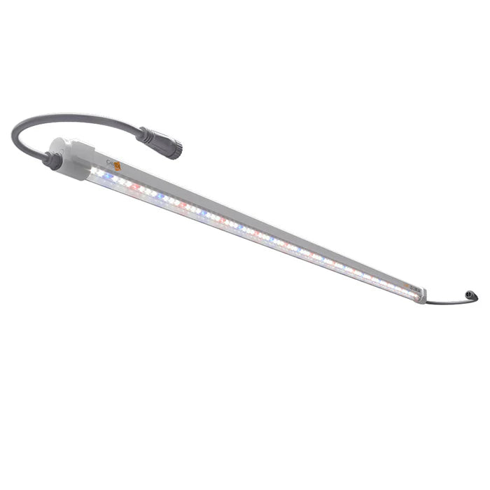 Gavita LED Clone Bar – 18W Propagation Light, 120–277V (2 Pack) on a white background
