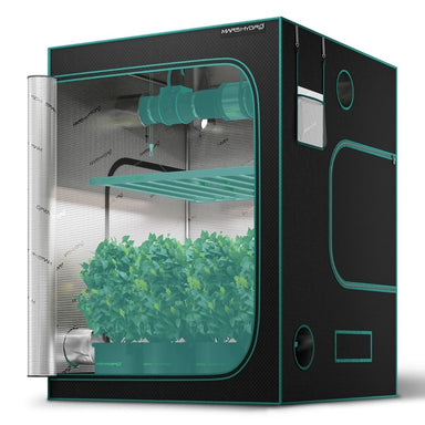 Mars Hydro 5x5 Grow Tent – 60x60x80 Hydroponic Indoor Tent Hydroponic grow tent with plants inside on a white background