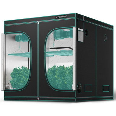 Mars Hydro 8x8 Grow Tent – 96x96x80 Hydroponic Indoor Tent Black and green grow tent with plants inside on a white background
