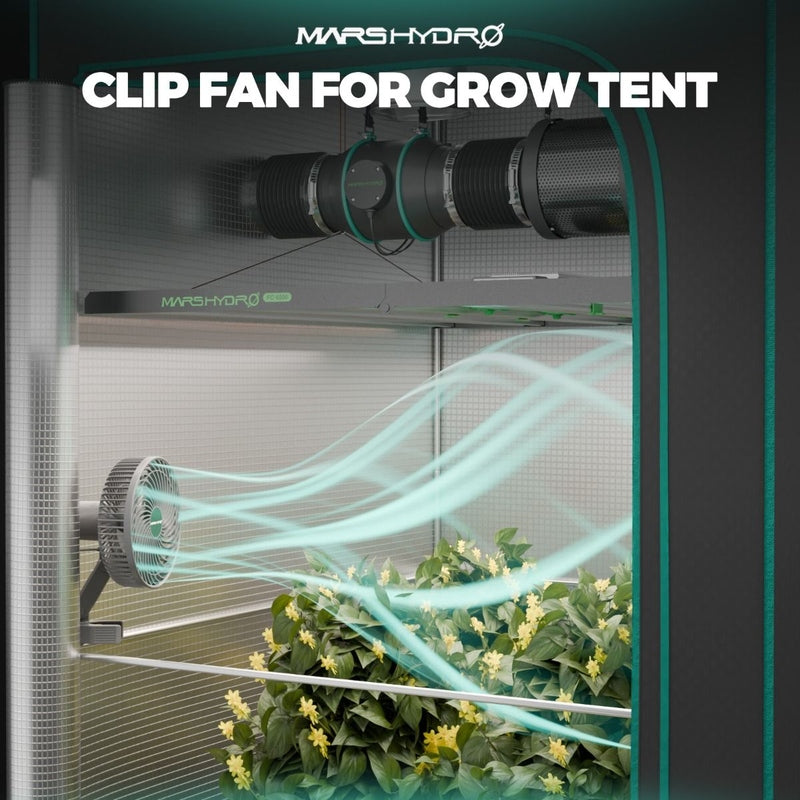Mars Hydro TSW 2000 Grow Tent Kit – 300W LED, 4x4 Grow Tent, 6” Ventilation System with Speed Controller
