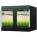 Vivosun 8x8 Smart Grow Tent Kit – 4x 500W LumaLight & GrowHub E42A+ with two open doors, green trim, and visible indoor grow lights and plants inside, shown on a plain white background.