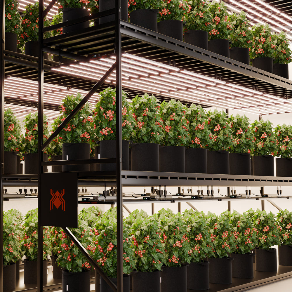 Spider Farmer G1000W Smart LED Grow Light – Commercial-Grade 5x5 Coverage Gardening or hydroponic system with plants in a controlled environment.