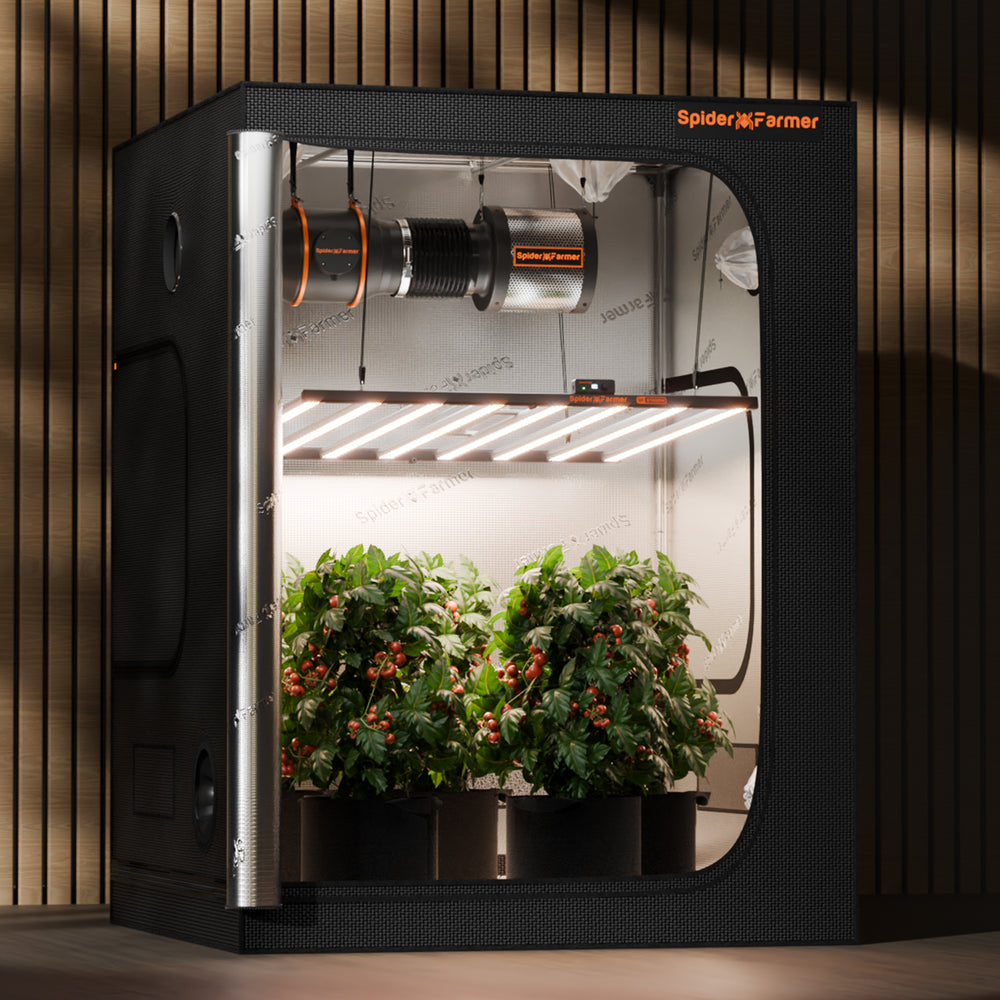 Spider Farmer G1000W Smart LED Grow Light – Commercial-Grade 5x5 Coverage Spider Farmer indoor grow tent with plants inside on a wooden background