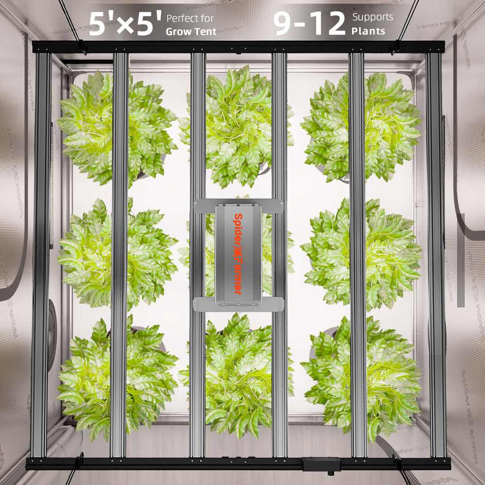 Spider Farmer G7000 730W Smart LED Grow Light – High-Yield 5x5 Coverage Grow tent with plants inside, labeled for size and plant support.