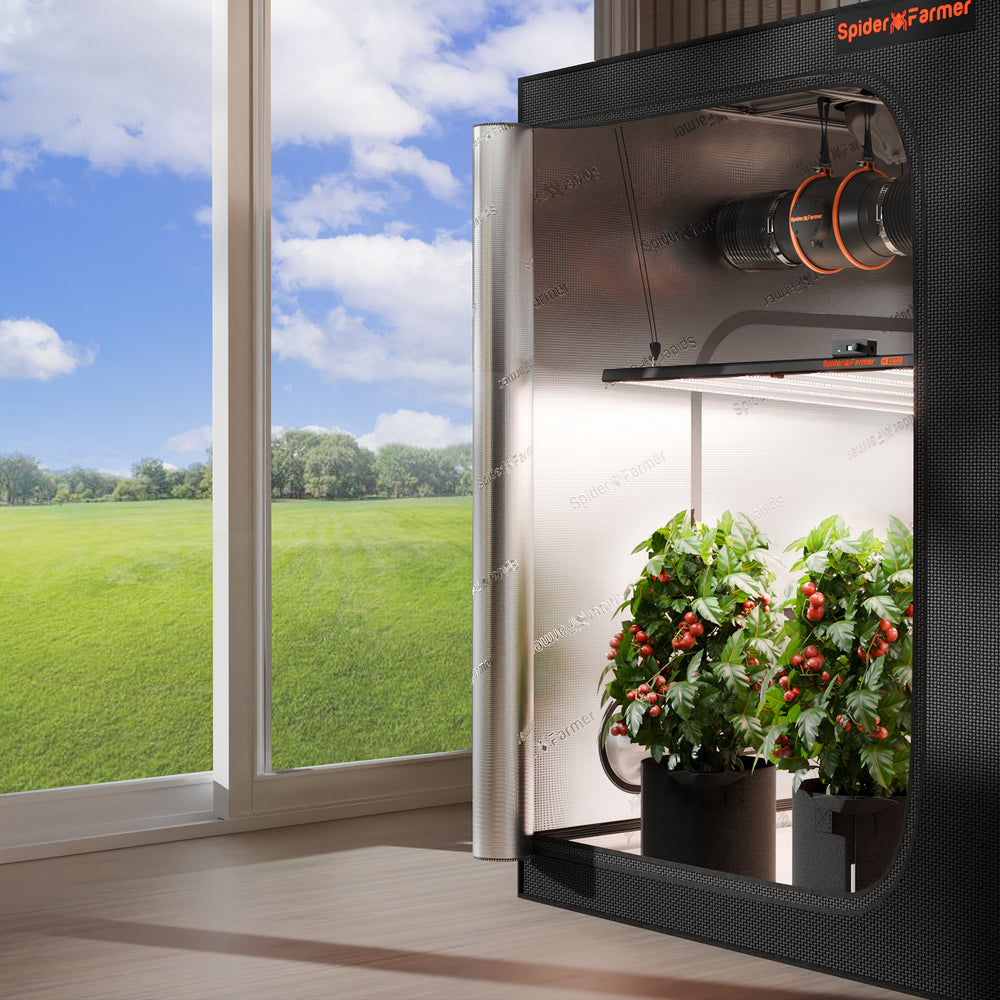 Spider Farmer G8600 800W Smart LED Grow Light – High-Intensity 5x5 Coverage Indoor gardening setup with Spider Farmer system and plants by a large window with a view of greenery outside.