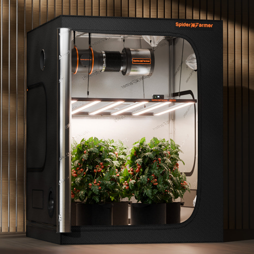 Spider Farmer G8600 800W Smart LED Grow Light – High-Intensity 5x5 Coverage Spider Farmer indoor grow tent with plants inside, on a wooden floor.