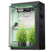 Vivosun 4x2 Smart Grow Tent Kit Pro with two plants under AeroLight Gen2 240W, AeroZesh T4 ventilation, AeroWave E6 airflow and GrowHub E42A+ control