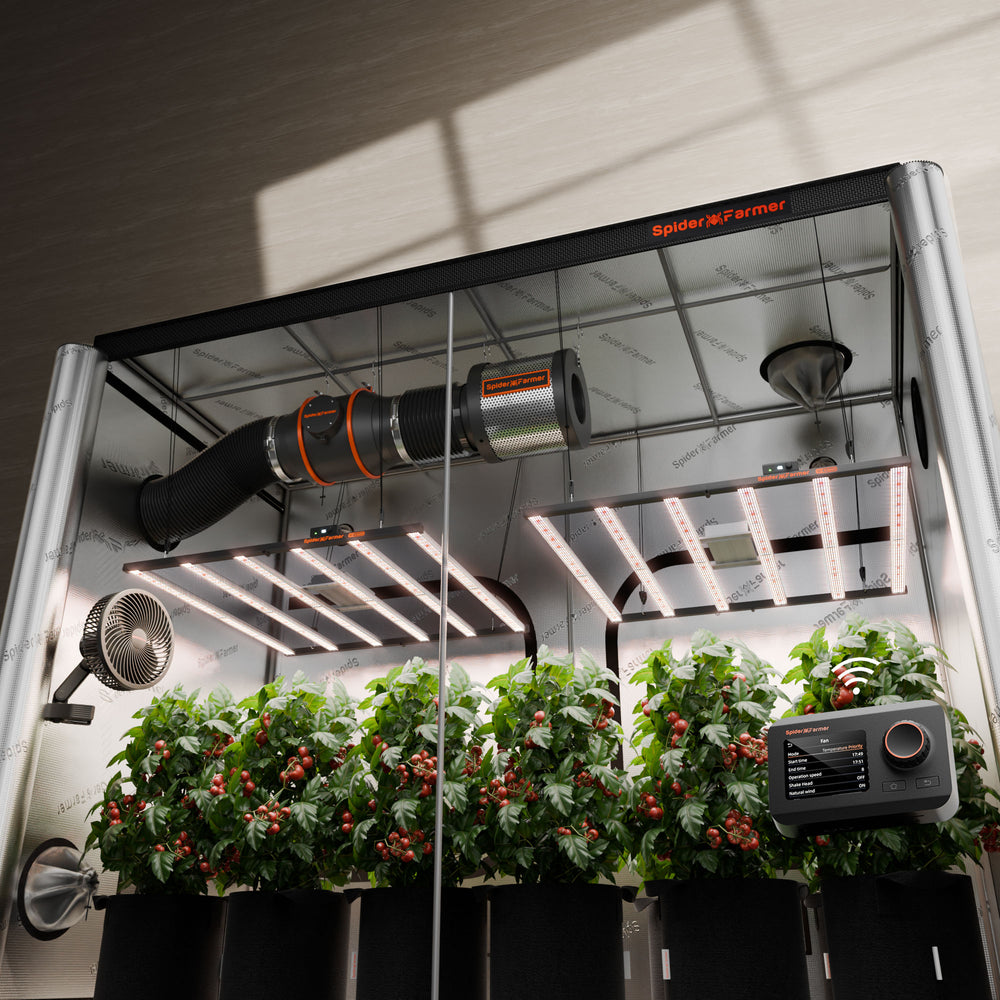 Spider Farmer 5x10 Grow Tent Kit – Dual G8600 800W LEDs, Smart Climate System Indoor farming setup with plants, lights, and control panel in a controlled environment.