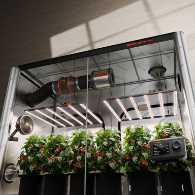 Spider Farmer 5x10 Grow Tent Kit – Dual G8600 800W LEDs, Smart Climate System Indoor farming setup with plants, lights, and control panel in a controlled environment.