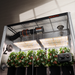 Spider Farmer 2x SF-4000 CP Complete Grow Tent Kit front view 