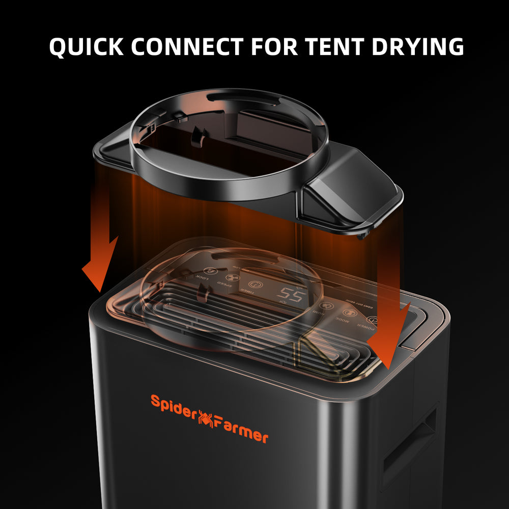 Spider Farmer 32-Pint Dehumidifier – Smart Humidity Control for Grow Tents Black tent dryer with Spider Farmer logo and text 'Quick Connect for Tent Drying' on a black background.