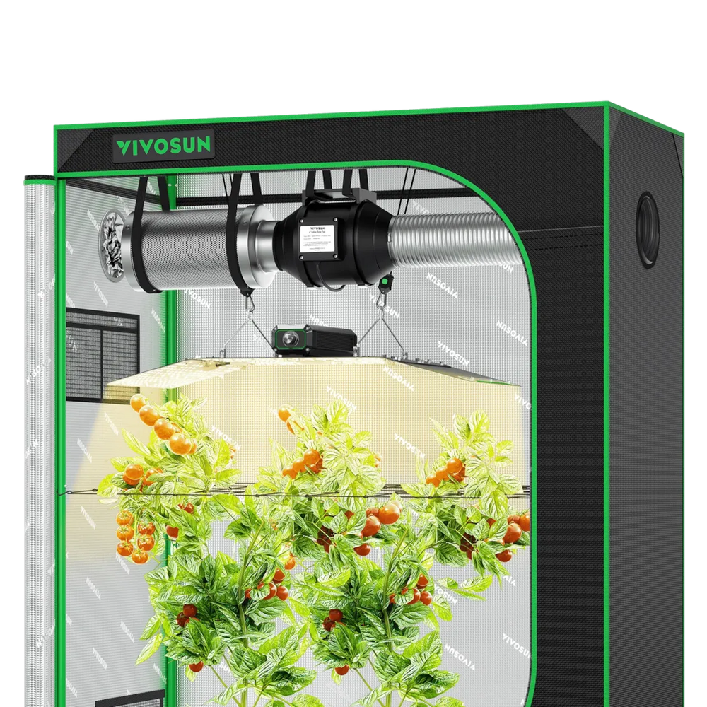 Vivosun 4x2 Starter Grow Tent Kit – 200W LumaLight & GrowHub A22  with a black frame, green trim, and silver interior. The tent is shown with a grow light and a hanging plant with green leaves and orange-red tomatoes growing inside.