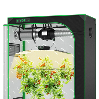 Vivosun 4x2 Starter Grow Tent Kit – 200W LumaLight & GrowHub A22  with a black frame, green trim, and silver interior. The tent is shown with a grow light and a hanging plant with green leaves and orange-red tomatoes growing inside.