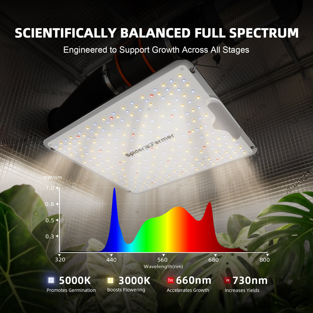 Spider Farmer SF1000 100W LED Grow Light – Efficient Full-Spectrum Lighting for 2×2 Grow Tents LED grow light with scientific spectrum diagram and plant growth benefits