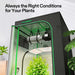 Vivosun 3x3 Starter Grow Tent Kit – 200W LumaLight & GrowHub A22  with a black mesh exterior, green trim, and an internal LED grow light, shown with a green plant inside and the text 'Always the Right Conditions for Your Plants' on a white background.