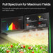 Vivosun 2x2 Smart Grow Tent Kit – 100W LumaLight & GrowHub E42A+ with an attached color chart screen showing visible light spectrum and wavelength information, above a row of tomato plants growing under the lamp. Text at the top reads 'Full Spectrum for Maximum Yields' and the screen includes labels such as 5000 K, 3000 K, 655-665 nm, and 725-730 nm.