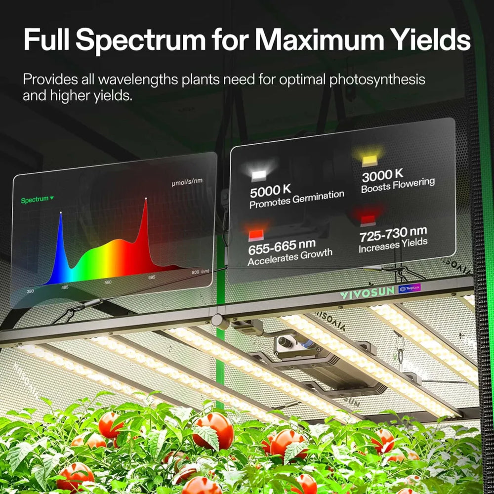 Vivosun 4x4 Smart Grow Tent Kit – 500W LumaLight & GrowHub E42A+ LED grow lights with dual color-temperature display screens showing spectrum graphs and temperature settings, above tomato plants growing tomatoes in a greenhouse setting.