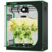 Vivosun 4x2 Starter Grow Tent Kit – 200W LumaLight & GrowHub A22 indoor vertical garden tent with green trim, featuring a transparent door, three tiers of potted tomato plants with ripe red tomatoes, and a built-in LED grow light system.