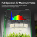 Vivosun 4x2 Starter Grow Tent Kit – 200W LumaLight & GrowHub A22 Full Spectrum For Maximum Yields 