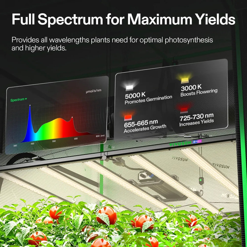Vivosun 10x10 Smart Grow Tent Kit – 4x 750W LumaLight & GrowHub E42A+ full spectrum lighting for maximum yields 