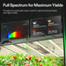 Vivosun 10x10 Smart Grow Tent Kit – 4x 750W LumaLight & GrowHub E42A+ full spectrum lighting for maximum yields 