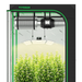 Vivosun 4x4 Starter Grow Tent Kit – 400W LumaLight & GrowHub A22 with a black frame, green trim, mesh screen, and a hanging LED light fixture above a dense green plant.