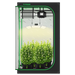 Vivosun 4x4 Starter Grow Tent Kit – 400W LumaLight & GrowHub A22 Y with three green plants in black pots, shown against a white background.