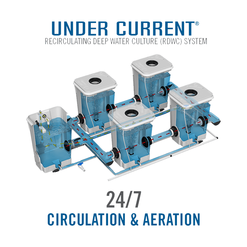 Current Culture H2O Recirculating Deep Water Culture – Medium-less RDWC 13-Gallon @ 40″ Plant Spacing UCXXL13 close up inside view showing water flow 