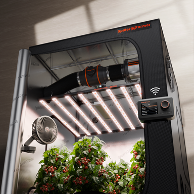 Spider Farmer 5x5 Smart Grow Tent Kit with G1000W LED – Full Spectrum Lighting, GGS  Spider Farmer indoor gardening system with plants and LED lights