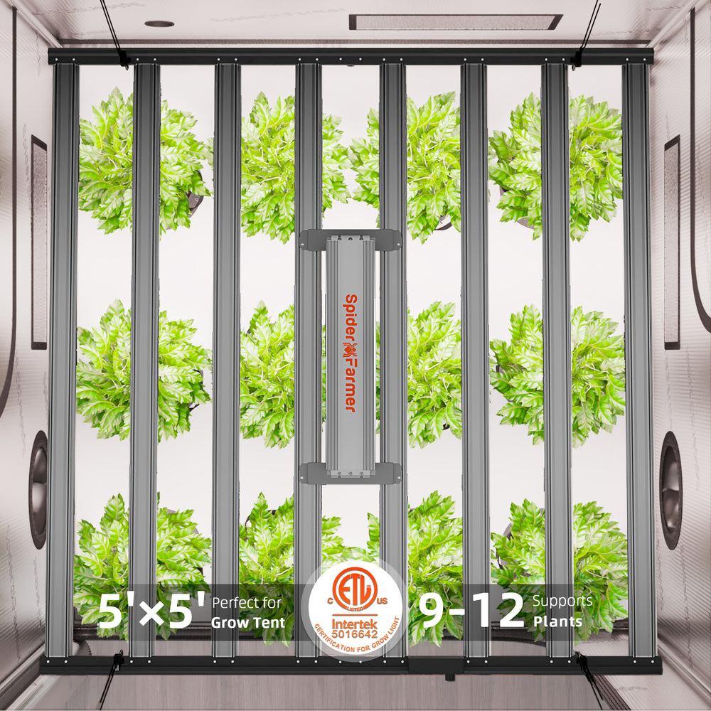 Spider Farmer G1000W Smart LED Grow Light – Commercial-Grade 5x5 Coverage  Grow Tent with plants inside, showing dimensions and certification logos.