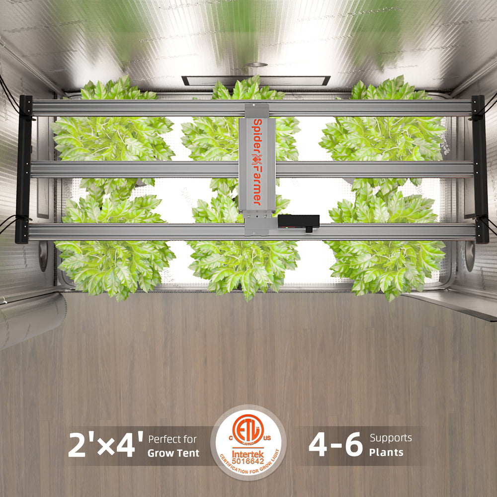 Spider Farmer G4500 – 320W Full Spectrum LED Grow Light with Smart Control for 2x4 / 3x5 Grow Tents Spider Farmer indoor gardening system with plants growing on shelves.