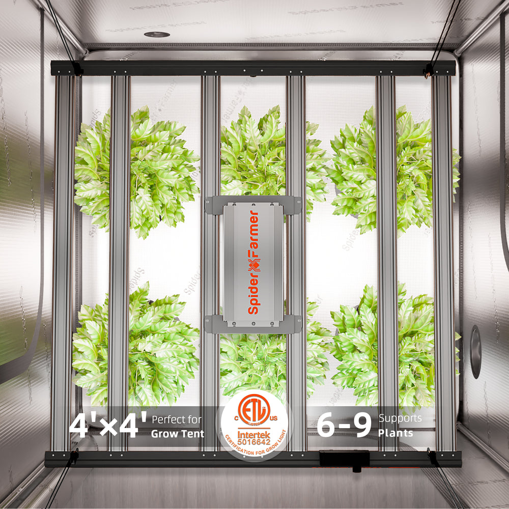 Spider Farmer G5000 480W Smart LED Grow Light – High-Yield 4x4 Coverage Spider Farmer indoor gardening system with plants inside a grow tent