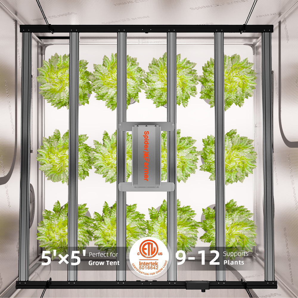 Spider Farmer G8600 800W Smart LED Grow Light – High-Intensity 5x5 Coverage grow tent with plants inside, featuring Intertek branding.