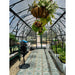 Grandio Summit Greenhouse inside view with plants hanging among vegetable plants  