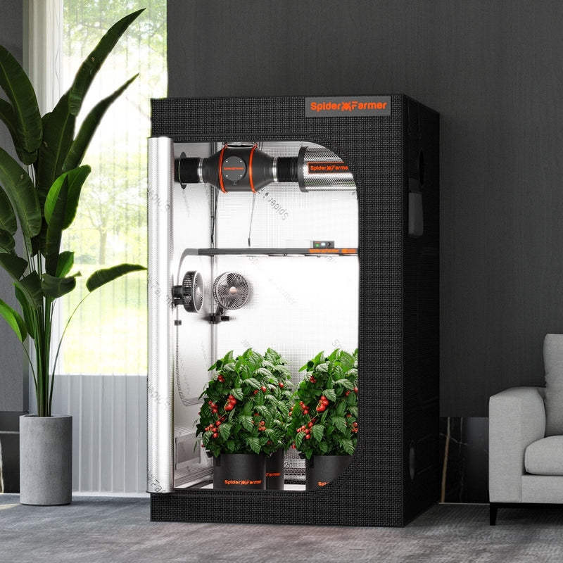 Spider Farmer® 4’x4’x6.5′ Grow Tent Small indoor grow tent with plants inside, placed in a room with a window and furniture.