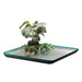 Mars Hydro 1680D Oxford Removable Floor Tray for 4x2 Grow Tent - 48''X24''X71'' (120X60X180cm) lifestyle image