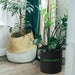 Mars Hydro 5 Gallon Fabric Grow Pot Plant Container (5 Packs) lifestyle image