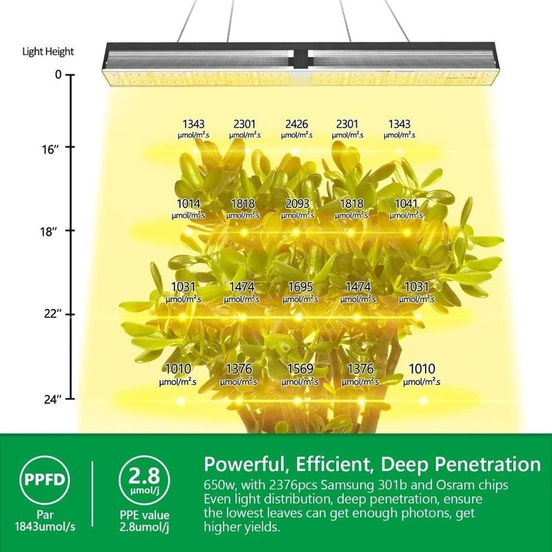 Mars Hydro SP 6500 LED Grow Light 650W deep penetration