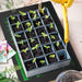 Mars Hydro Seedling Heat Mat Digital Thermostat Combo 48''x20.75'' lifestyle image