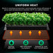 Mars Hydro Seedling Heat Mat Digital Thermostat Combo 48''x20.75'' uniform heat