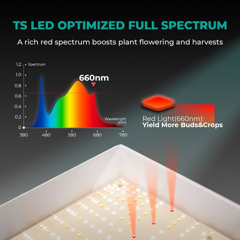 Mars Hydro TSL 2000 LED (24"x 48"x 71") Complete Grow Tent Kit 2x4 full spectrum 
