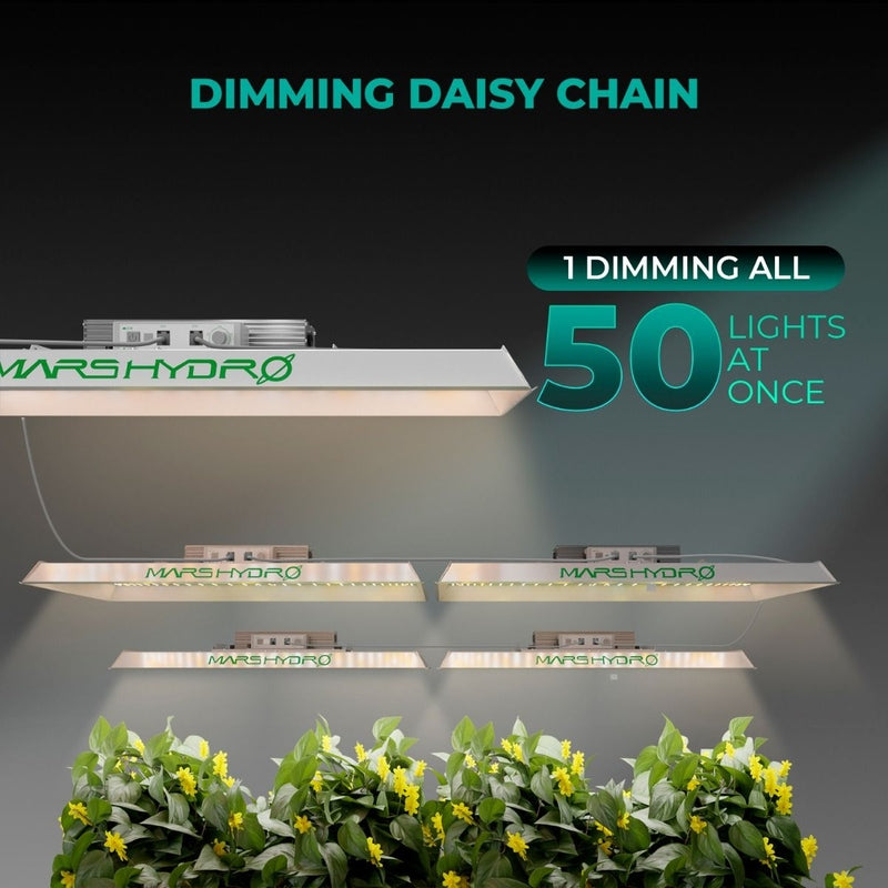 Mars Hydro TS 3000 LED Grow Light 450W dais chain.