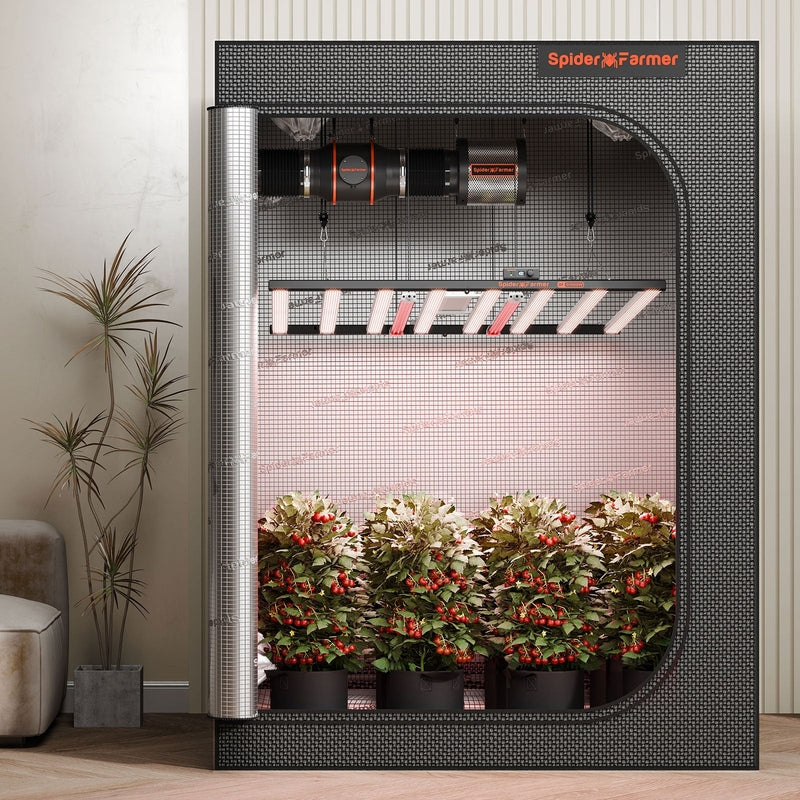 Spider Farmer GlowR80 Spider Farmer indoor gardening system with plants inside a room.